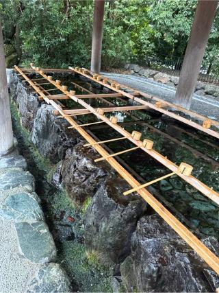 手水舎の参拝記録(⛩️🐍🐢まめ🐢🐍⛩️さん)