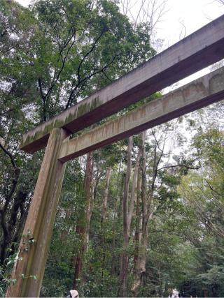 北御門鳥居の参拝記録(⛩️🐍🐢まめ🐢🐍⛩️さん)