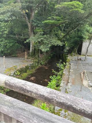火除橋の参拝記録(⛩️🎠🐢まめ🐢🎠⛩️さん)