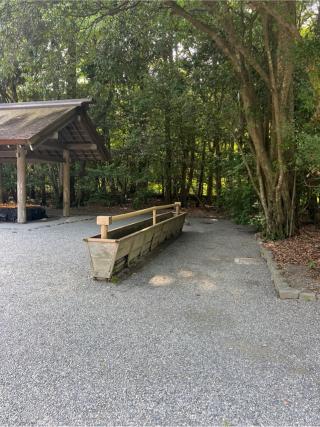 手水舎の参拝記録(⛩️🐍🐢まめ🐢🐍⛩️さん)