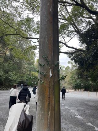 一の鳥居の参拝記録(⛩️🐍🐢まめ🐢🐍⛩️さん)