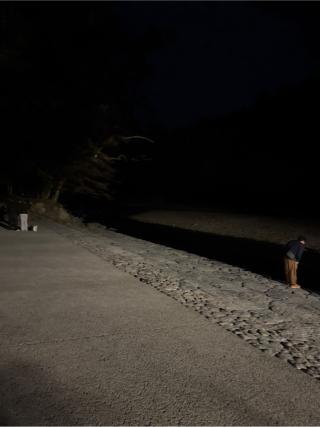 御手洗場の参拝記録(⛩️🐍🐢まめ🐢🐍⛩️さん)