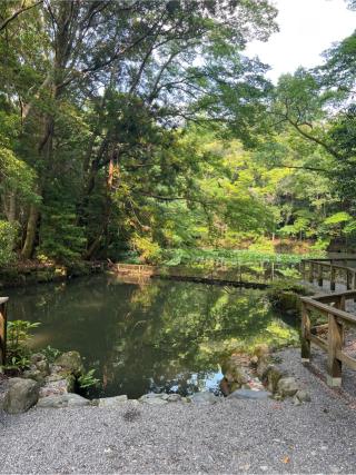 手水舎の参拝記録(⛩️🐍🐢まめ🐢🐍⛩️さん)
