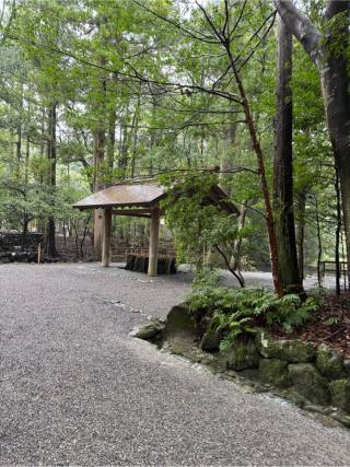 手水舎の参拝記録(⛩️🐍🐢まめ🐢🐍⛩️さん)