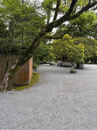 饗膳所の参拝記録(⛩️🎠🐢まめ🐢🎠⛩️さん)