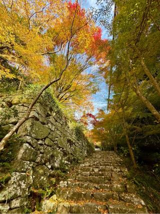 桑實寺　地蔵堂の参拝記録(qo_opさん)