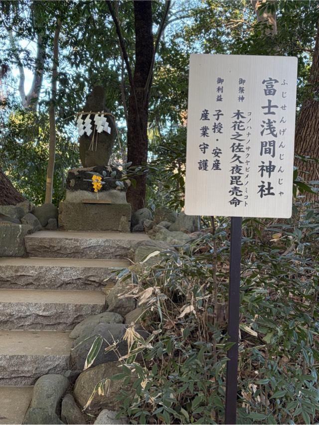 富士浅間神社（柴崎神社末社）の参拝記録2