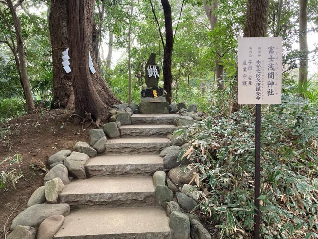 富士浅間神社（柴崎神社末社）の参拝記録3