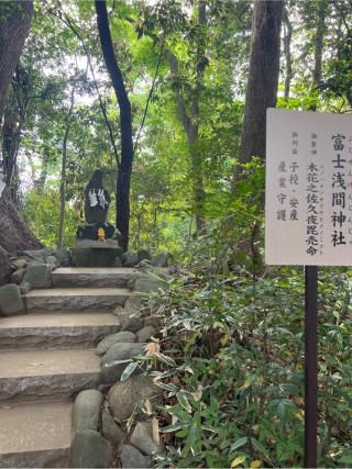 富士浅間神社（柴崎神社末社）の参拝記録(⛩️🐍🐢まめ🐢🐍⛩️さん)