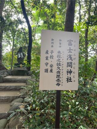 富士浅間神社（柴崎神社末社）の参拝記録(⛩️🐍🐢まめ🐢🐍⛩️さん)