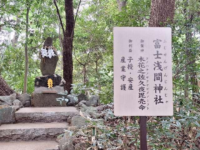 富士浅間神社（柴崎神社末社）の参拝記録2