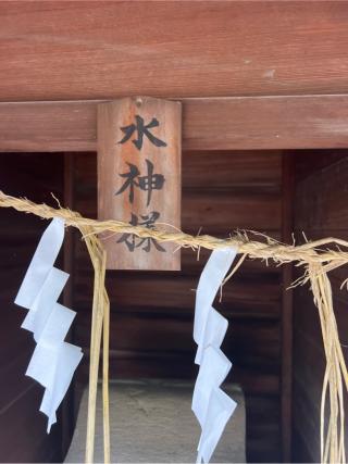 水神宮（柴崎神社末社）の参拝記録(⛩️🐍🐢まめ🐢🐍⛩️さん)