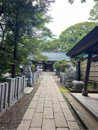 八坂神社（柴崎神社末社）の参拝記録(⛩️🐍🐢まめ🐢🐍⛩️さん)
