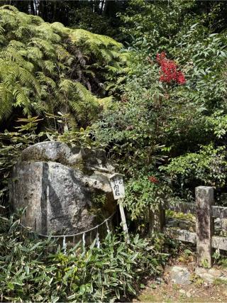 日向大神宮 影向岩の参拝記録(あきちゃんさん)