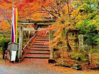 双林院（山科聖天）不動堂の参拝記録(qo_opさん)