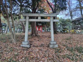 おたか森稲荷神社の参拝記録(ロビンさん)
