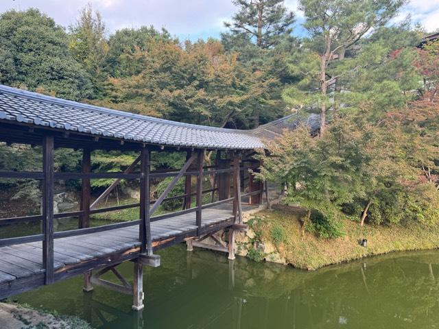 高台寺 臥龍廊の参拝記録1