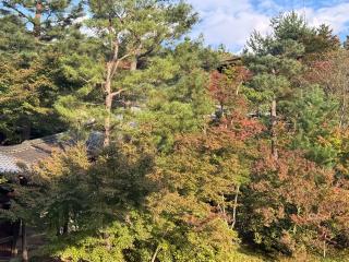 高台寺 臥龍廊の参拝記録(ひろたかさん)