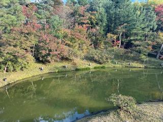 高台寺 臥龍廊の参拝記録(ひろたかさん)
