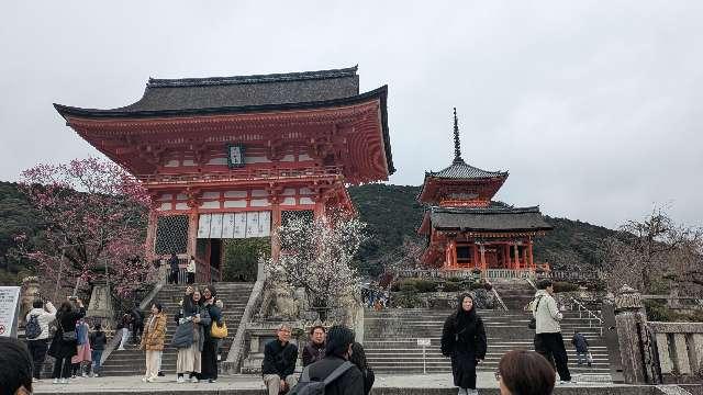 清水寺　仁王門の参拝記録2