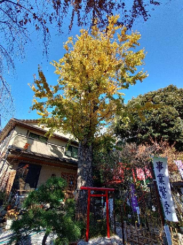 神木（烏森稲荷神社）の参拝記録1