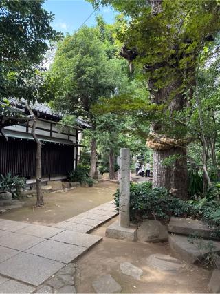 庚申塔（奥澤神社境内）の参拝記録(⛩️🎠🐢まめ🐢🎠⛩️さん)