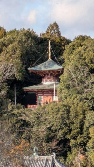 多宝塔の参拝記録(あきおさん)