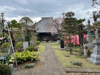 西福寺の参拝記録(nak55さん)