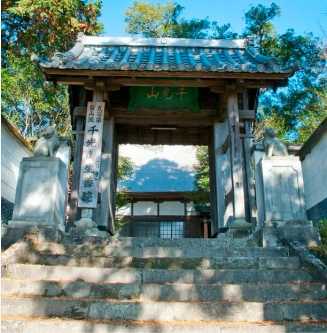 千光山 生善院(猫寺)の写真1