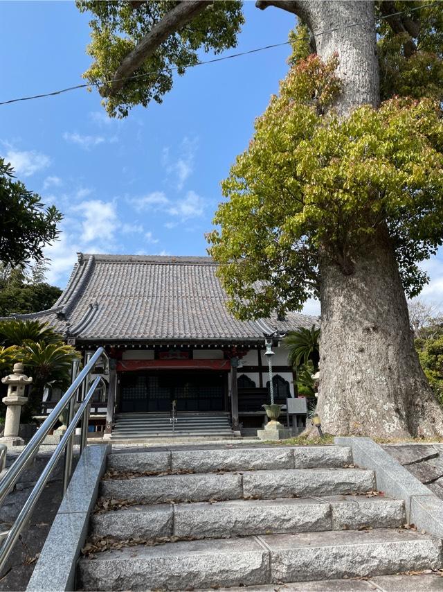 松得山 東漸寺の写真1