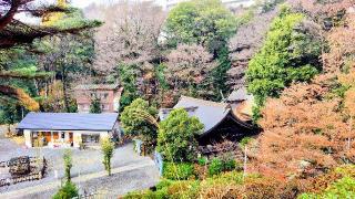 富士嶽神社(熊野神社境内)の参拝記録(オトギリルさん)