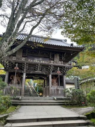 広島弥山大本山大聖院の参拝記録(おかちゃんさん)