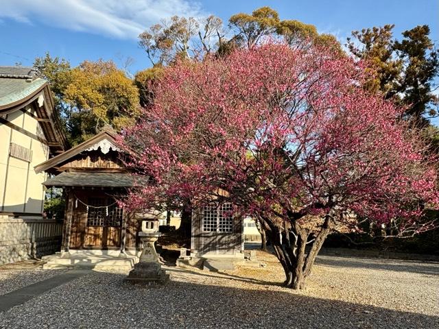 天神社（天満宮）（春日神社境内社）の参拝記録1
