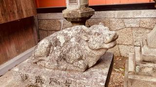 天満神社の参拝記録(すったもんださん)