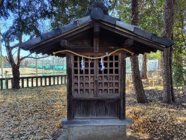 埼玉県川口市八幡木１丁目２５−５ 厳島神社（八幡神社境内）の写真1