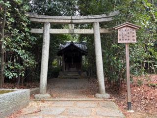 春日神社(向日神社末社)の参拝記録(忍さん)