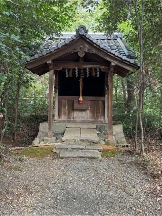 春日神社(向日神社末社)の参拝記録(こーちんさん)