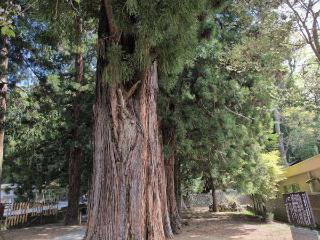 合祀社の参拝記録(SFUKUさん)