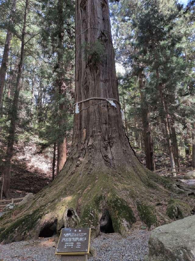 山神社の参拝記録3