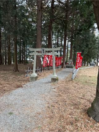 稲荷社の参拝記録(⛩️🎠🐢まめ🐢🎠⛩️さん)