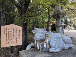 國津神社•別天神社の参拝記録(SFUKUさん)