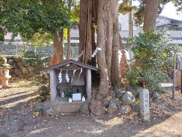 御神木（菅原神社境内）の写真1