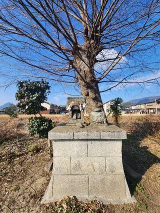 地神宮の参拝記録(ろかずさん)