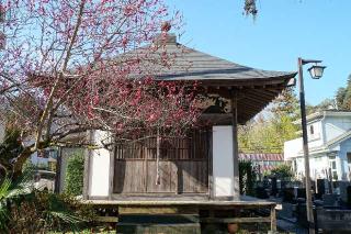 白石山医王寺の参拝記録(thonglor17さん)