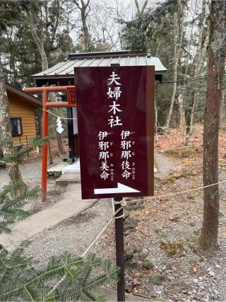 夫婦木社（新屋山神社境内社）の参拝記録(⛩️🎠🐢まめ🐢🎠⛩️さん)