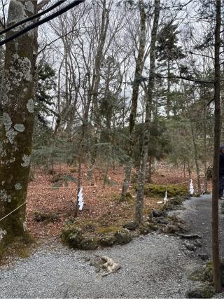 夫婦木社（新屋山神社境内社）の参拝記録(⛩️🎠🐢まめ🐢🎠⛩️さん)