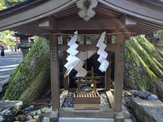 風神社（北口本宮冨士浅間神社境内社）の参拝記録(優雅さん)