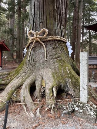 風神社（北口本宮冨士浅間神社境内社）の参拝記録(⛩️🎠🐢まめ🐢🎠⛩️さん)