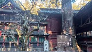 神武社（北口本宮冨士浅間神社境内社）の参拝記録(SFUKUさん)