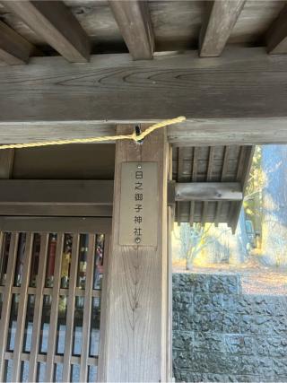 日之御子神社（北口本宮冨士浅間神社　境内）の参拝記録(⛩️🐍🐢まめ🐢🐍⛩️さん)